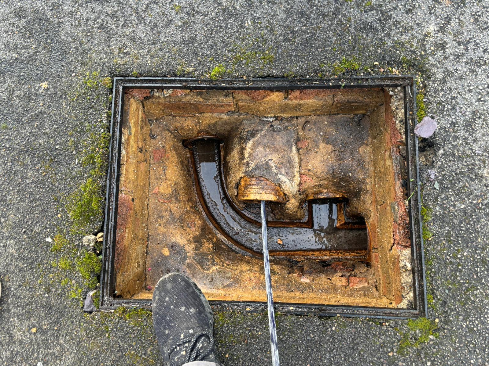 WhatsApp Image 2025 02 03 at 21.20.50